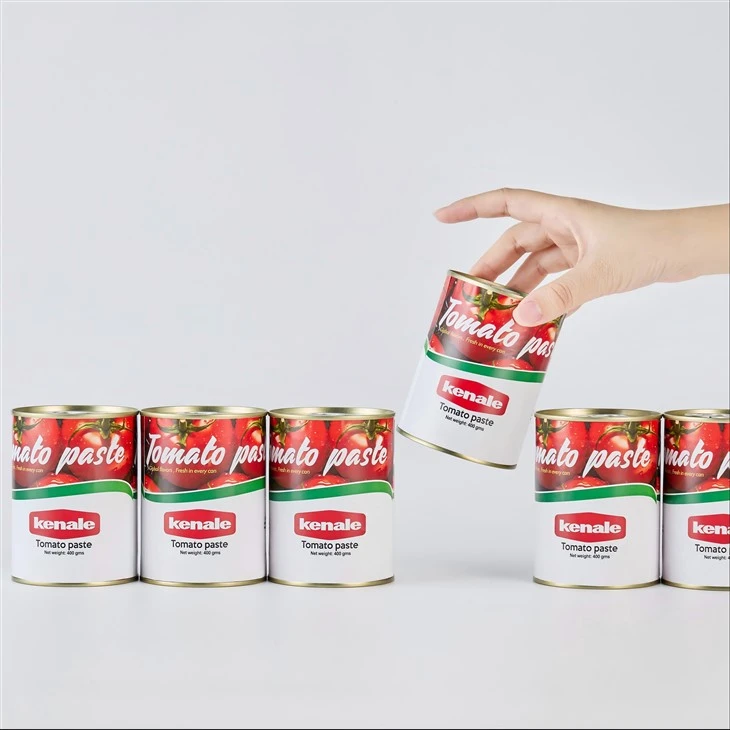 Concentrate Tomato Paste high quality